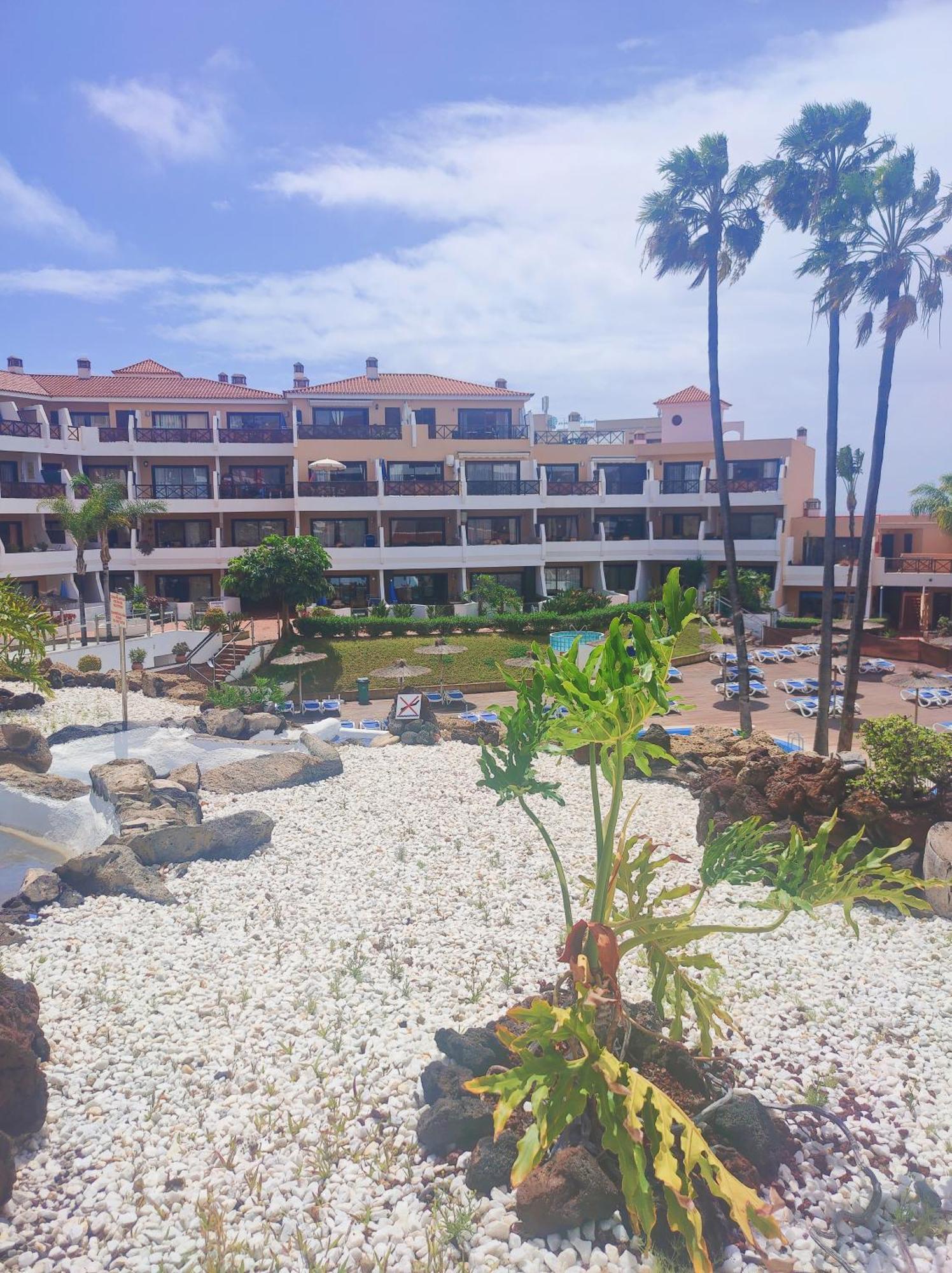 Lovely Apartment Top Views, Heated Pool, Great Location San Miguel de Abona Extérieur photo
